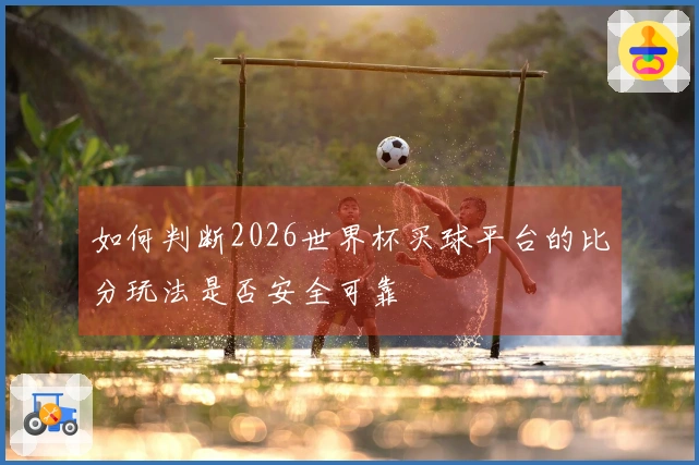 如何判断2026世界杯买球平台的比分玩法是否安全可靠
