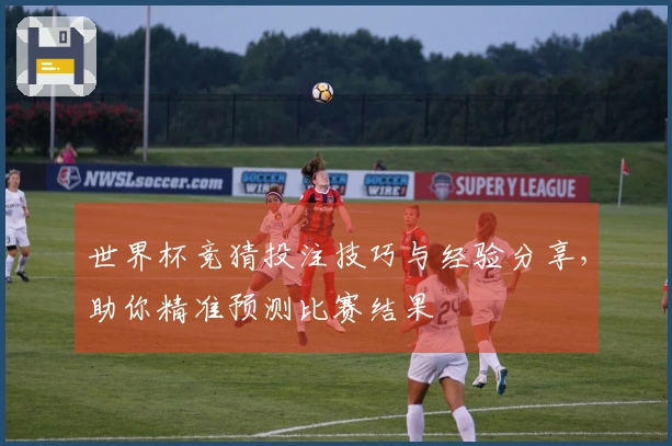 世界杯竞猜投注技巧与经验分享,助你精准预测比赛结果