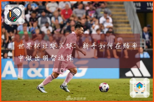世界杯让球买球：新手如何在赔率中做出明智选择