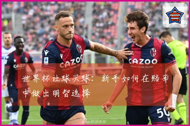 世界杯让球买球：新手如何在赔率中做出明智选择